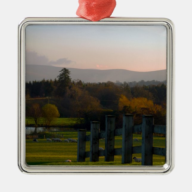 Ornamento De Metal A Irlanda é bonita (Frente)