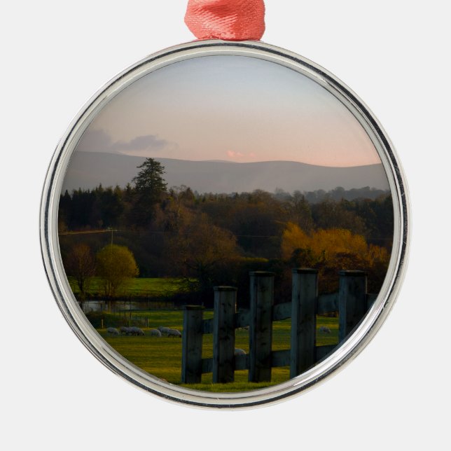 Ornamento De Metal A Irlanda é bonita (Frente)