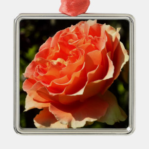 Ornamento De Metal A laranja aumentou floral II bonito