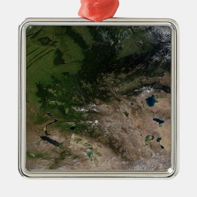 Ornamento De Metal A mudança de vegetação (Frente)