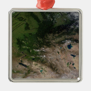 Ornamento De Metal A mudança na vegetação