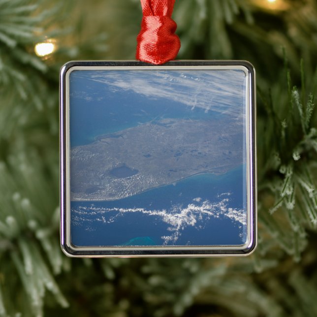 Ornamento De Metal A Península da Flórida. (Árvore)