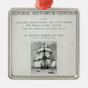 Ornamento De Metal A viagem do lebreiro