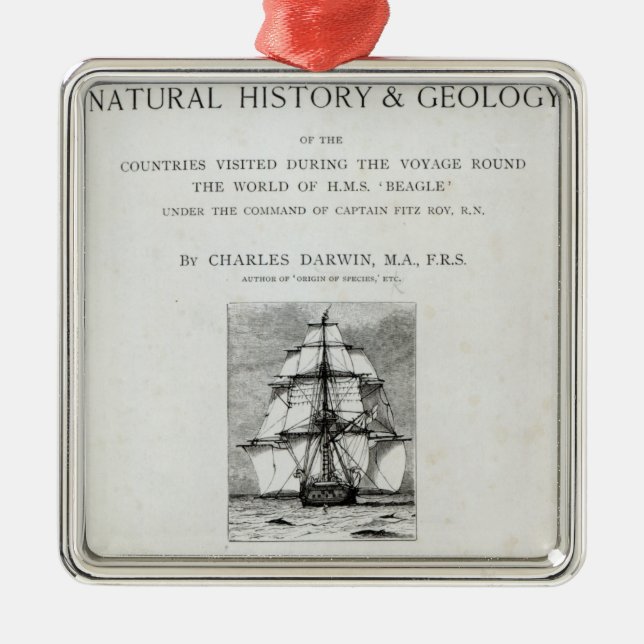 Ornamento De Metal A viagem do lebreiro (Frente)