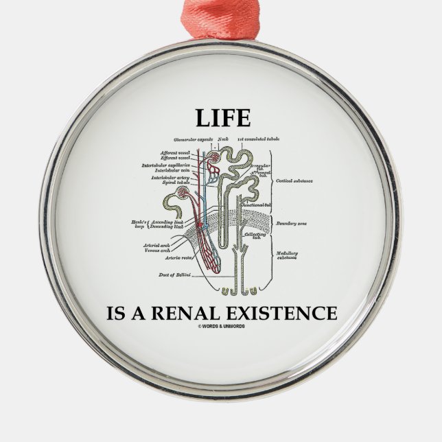 Ornamento De Metal A vida é uma existência renal (rim Nephron) (Frente)