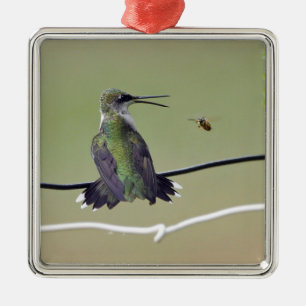 Ornamento De Metal Abelha do colibri & do mel