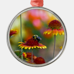 Ornamento De Metal Abelha no Gaillardia