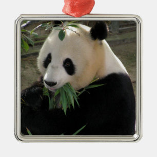 Ornamento De Metal Abraços de urso da panda