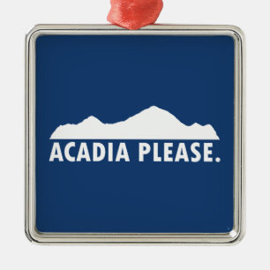 Ornamento De Metal Acadia por favor