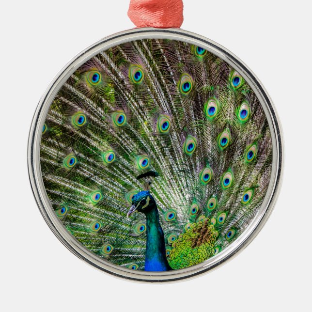 Ornamento De Metal Acessórios de punho e penas impressionantes (Frente)