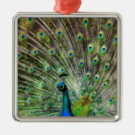 Ornamento De Metal Acessórios de punho e penas impressionantes