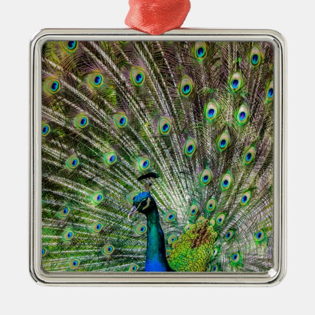 Ornamento De Metal Acessórios de punho e penas impressionantes (Frente)