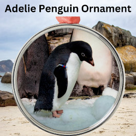Ornamento De Metal Adelie Penguin Preimium Ornament