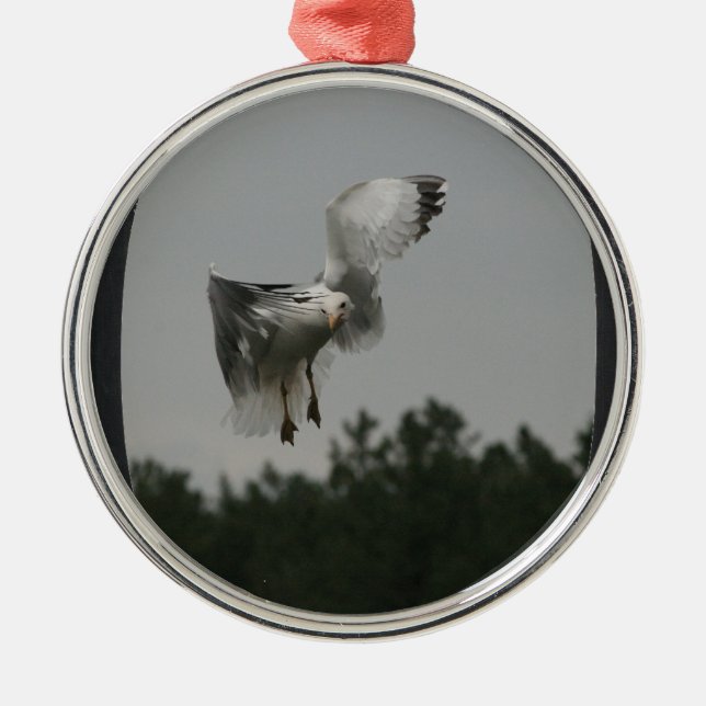 Ornamento De Metal Adicionar Foto Grande Quadro Oval (preto) (Frente)