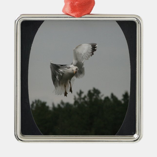 Ornamento De Metal Adicionar Foto Grande Quadro Oval (preto) (Frente)