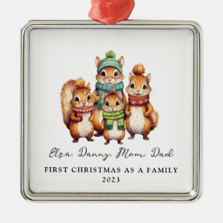 Ornamento De Metal Adoção Infantil Primeiro Natal Como Esquilos Famil