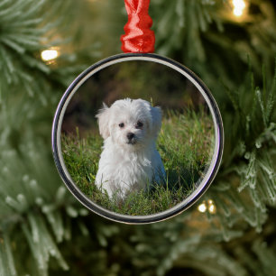 Ornamento De Metal Adorável cachorrinho branco