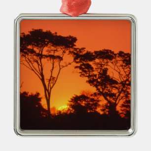 Ornamento De Metal África do Sul. Pôr do sol africano.