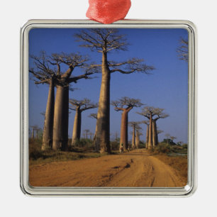 Ornamento De Metal África, Madagascar, Morondava, Avenida Baobab.