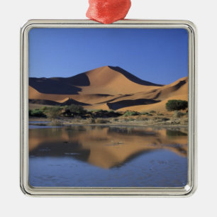 Ornamento De Metal África, Namíbia, Parque Nacional Namib, Sossusvl