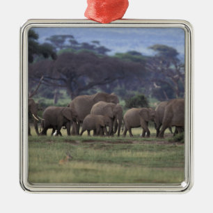 Ornamento De Metal África, Quênia, Parque Nacional de Amboseli. Elefa