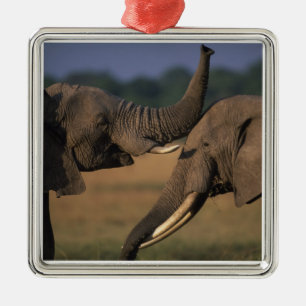 Ornamento De Metal África, Quênia, Reserva de Caça Masai Mara, Dois T