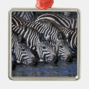 Ornamento De Metal África, Quênia, Reserva de Caça Masai Mara, Planíc