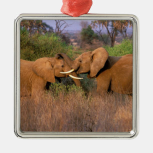 Ornamento De Metal África, Quênia, Samburu. Desafio de elefante