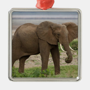 Ornamento De Metal África. Tanzânia. Elefante no Parque Nacional do L