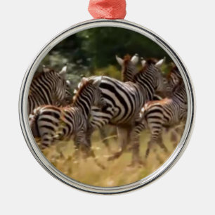 Ornamento De Metal African Kenya Safari Mara Zebra legal correndo