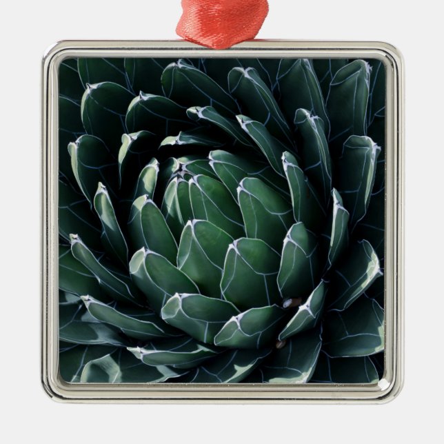 Ornamento De Metal Agave verde (Frente)