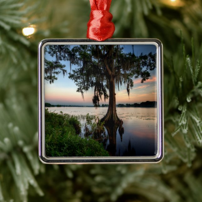 Ornamento De Metal Água | Kraft Azalea Park Maitland Florida (Árvore)