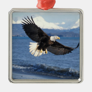 Ornamento De Metal águia-pescadora, Haliaeetus leuccocephalus, em voo