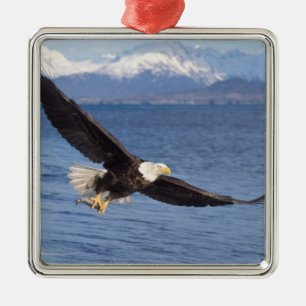 Ornamento De Metal águia-pescadora, Haliaeetus leucocephalus, em voo