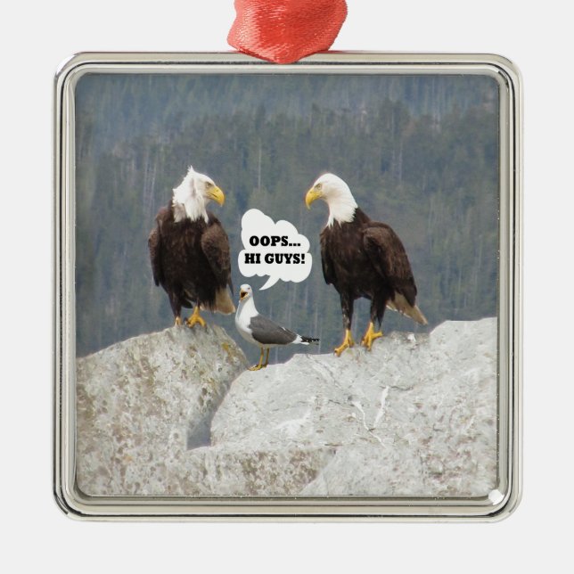 Ornamento De Metal Águias Engraçadas e Seagull (Frente)