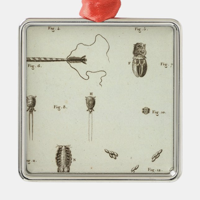 Ornamento De Metal Alaska 3 (Frente)