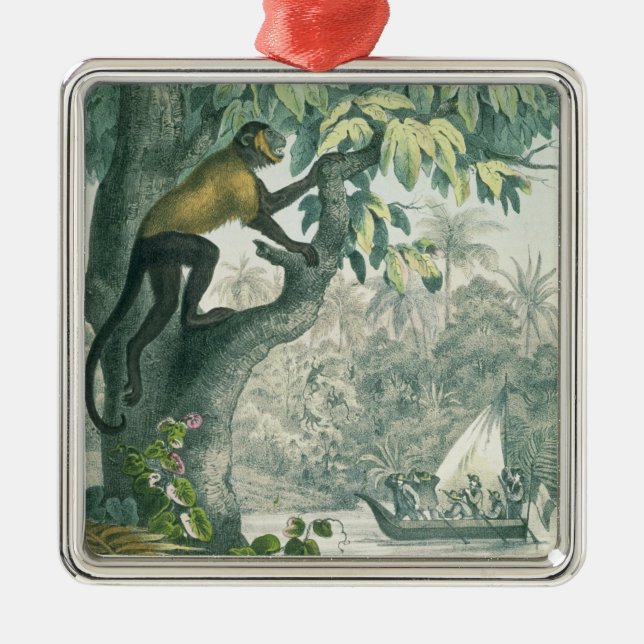 Ornamento De Metal Alcances superiores do Amazon, 'do der do DAS Buch (Frente)