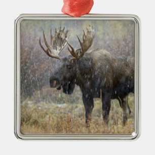 Ornamento De Metal Alce macho em tempestade de neve com árvores de ál