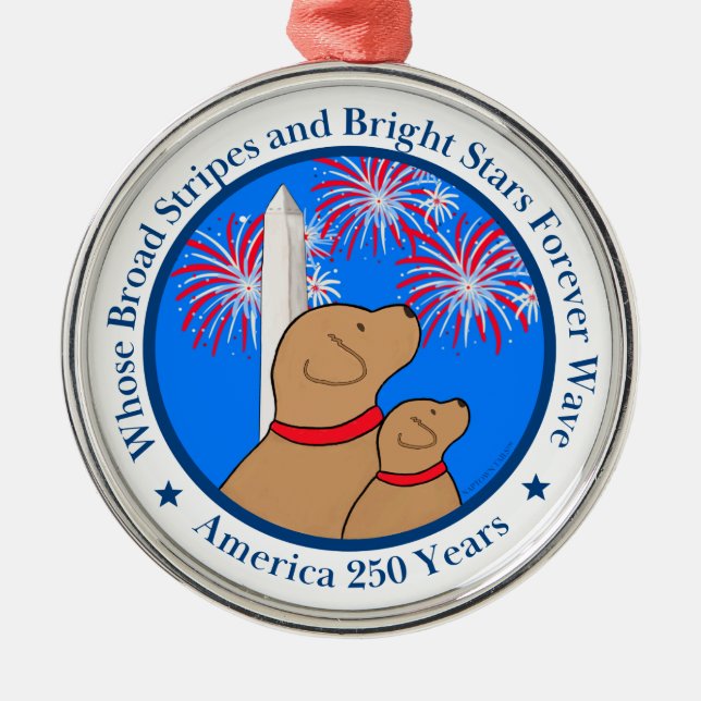 Ornamento De Metal America 250 DC Edition (Frente)