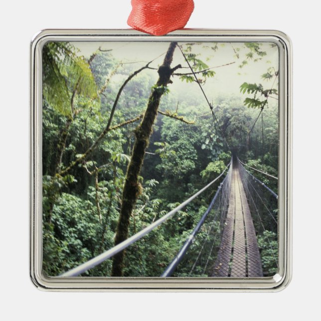 Ornamento De Metal América Central, Costa Rica, Nuvem Monteverde (Frente)