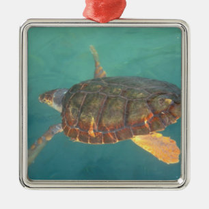 Ornamento De Metal América Central, Panamá, Bocas Del Torro