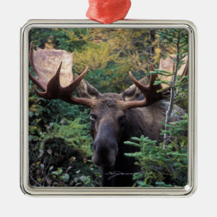 Ornamento De Metal América do Norte, Canadá, Nova Escócia, Cabo Bretã