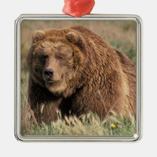 Ornamento De Metal America do Norte, EUA, Alaska, ilha do Kodiak,