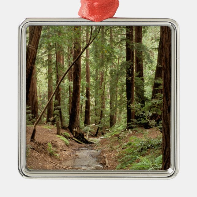 Ornamento De Metal América do Norte, EUA, Califórnia, Big Sur, 3 (Frente)