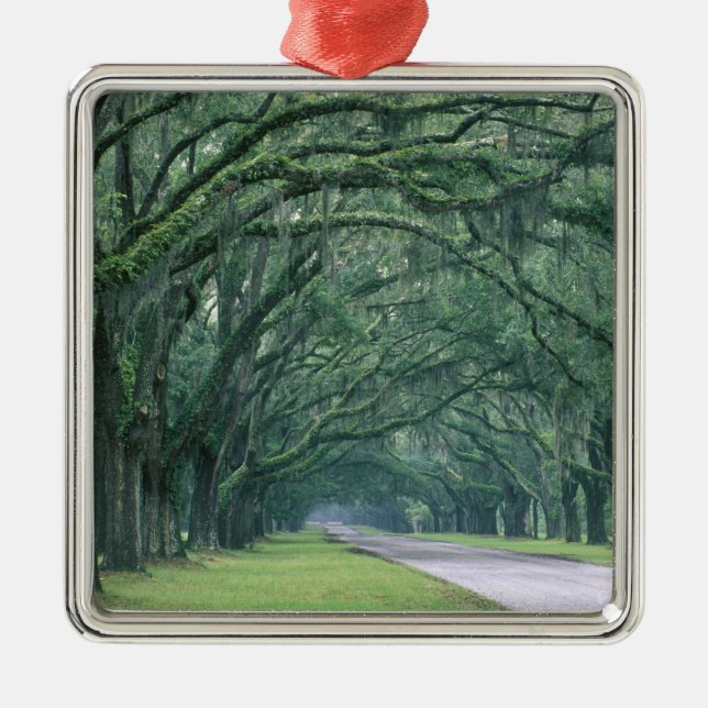 Ornamento De Metal América do Norte, EUA, Geórgia, Savannah, (Frente)