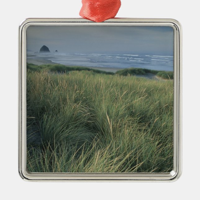 Ornamento De Metal América do Norte, EUA, Oregon, Praia Canon, (Frente)