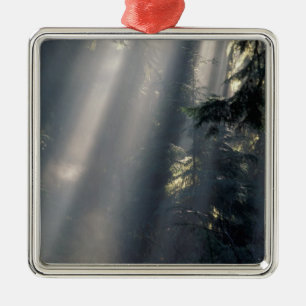 Ornamento De Metal América do Norte, EUA, Washington, Olimpiadas NP,