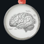 Ornamento De Metal Anatomia do cérebro do vintage<br><div class="desc">Anatomia do cérebro do vintage</div>