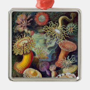 Ornamento De Metal Anêmona-do-Mar Natureza Científica Oceano