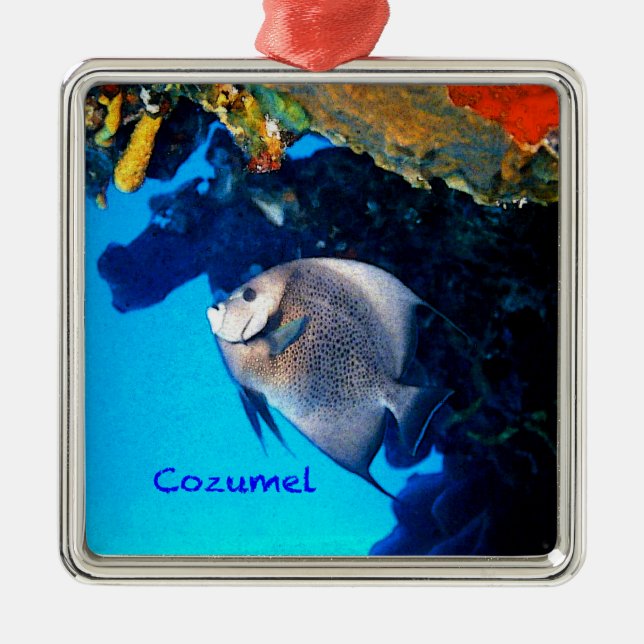 Ornamento De Metal Angelfish cinzento (Frente)